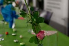 06-2R4A1316_DxO