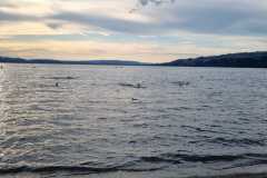 IMG-20220707-WA0005